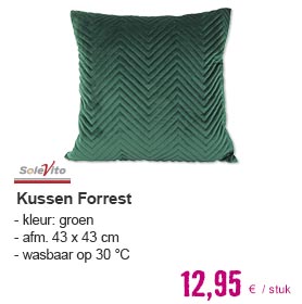 SOLEVITO Kussen Forrest groen 43x43 cm | HORNBACH