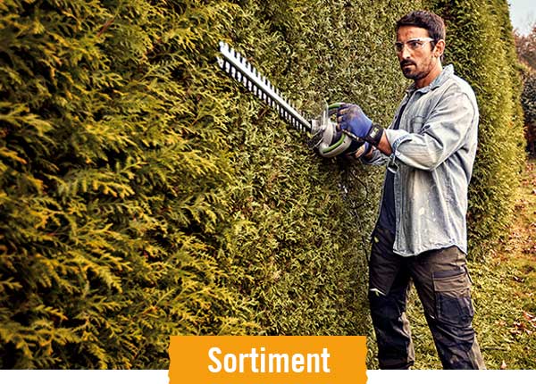 Heckenscheren im HORNBACH Onlineshop
