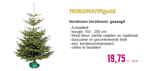 NORDMANN GOLD Kerstboom gezaagd, 150 - 200 cm | HORNBACH