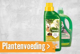 Plantenvoeding | HORNBACH