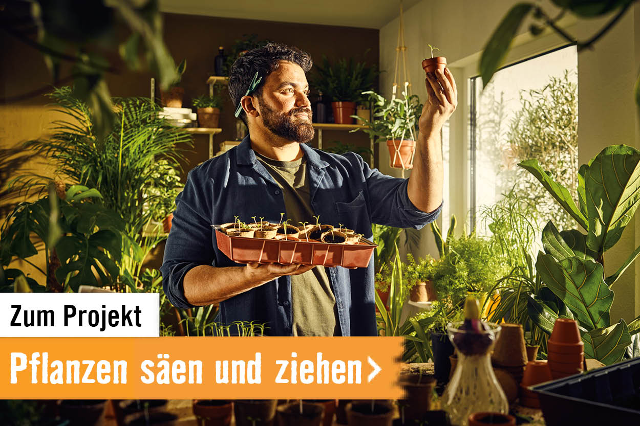 Zum Projekt: Pflanzen säen und ziehen