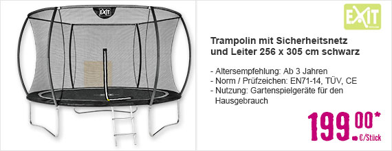 Trampolin EXIT mit Sicherheitsnetz und Leiter 256 x 305 cm schwarz