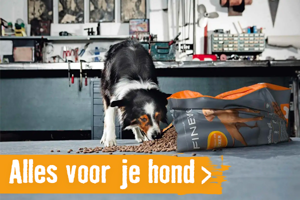 honden | HORNBACH