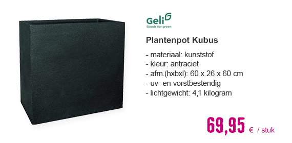 GELI Plantenpot Kubus Kunststof antraciet 60x26x60cm | HORNBACH