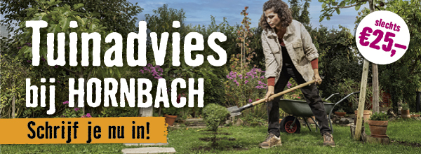 Tuinadvies bij HORNBACH | HORNBACH
