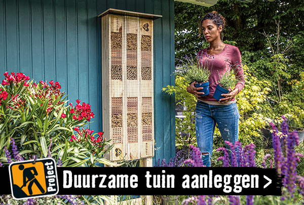 Duurzame tuin aanleggen | HORNBACH