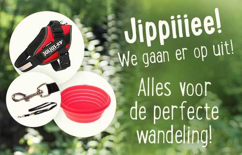 Alles voor een wandeling!