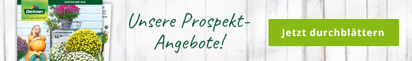 Beilage 18