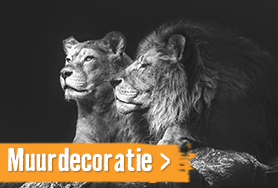 Muurdecoratie | HORNBACH