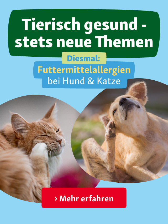 Tierisch gesund: Futtermittelallergien 