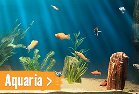 Aquaria | HORNBACH