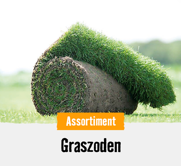 Graszoden | HORNBACH