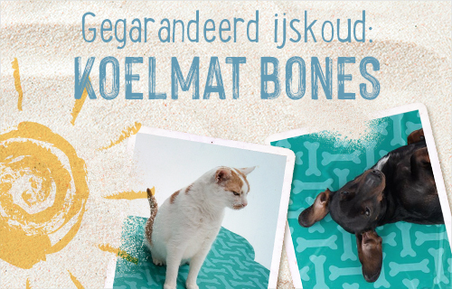 Gegarandeerd ijskoud: koelmat bones