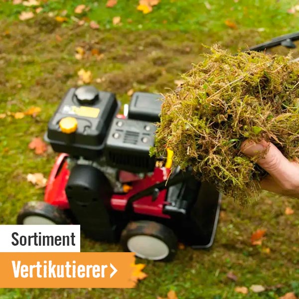 Vertikutierer im HORNBACH Onlineshop