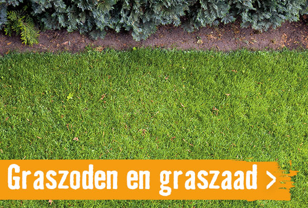 Graszoden en graszaad | HORNBACH