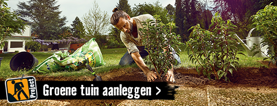 Groene tuin aanleggen | HORNBACH