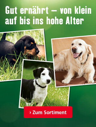 Gut ernährt - von klein auf bis ins hohe Alter