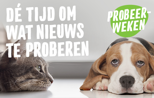 Probeer wat nieuws met onze probeerverpakkingen!