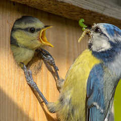 Foto: Rita Priemer
