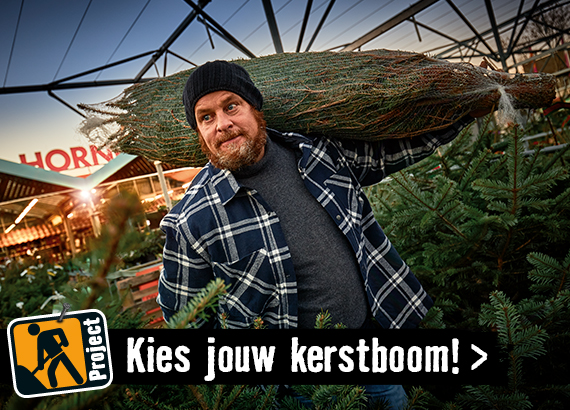 De echte Nordmann kerstboom | HORNBACH