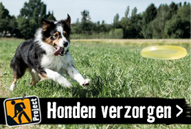 Honden | HORNBACH