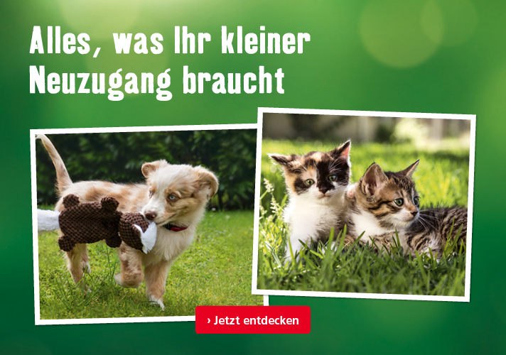 Erstausstattung