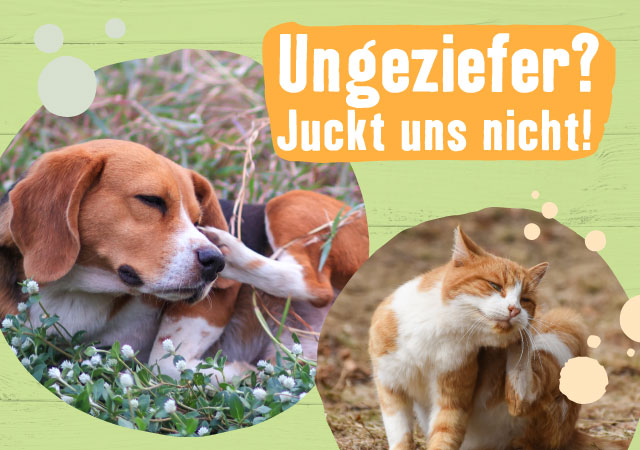 Ungeziefer? Juckt uns nicht!