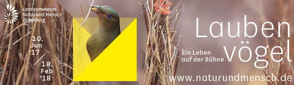 Anzeige: Oldenburg Tourismus