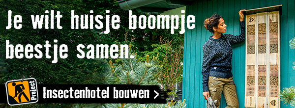 Insectenhotel bouwen | HORNBACH