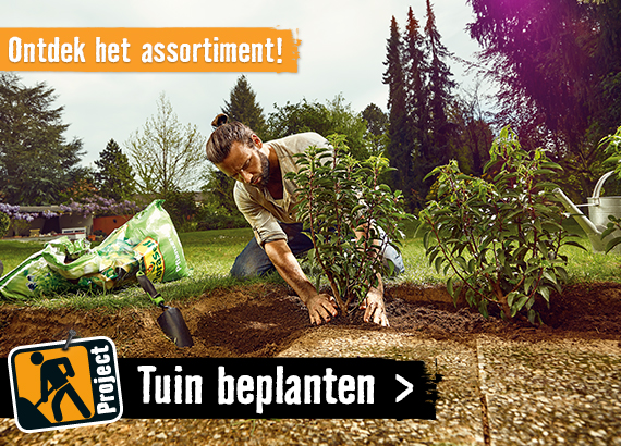 Ontdek het assortiment planten! | HORNBACH