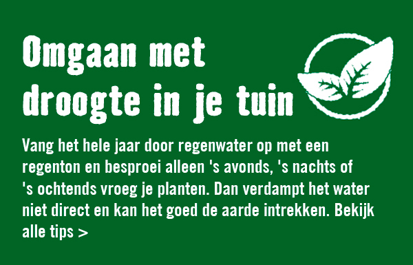 Omgaan met droogte in je tuin | HORNBACH