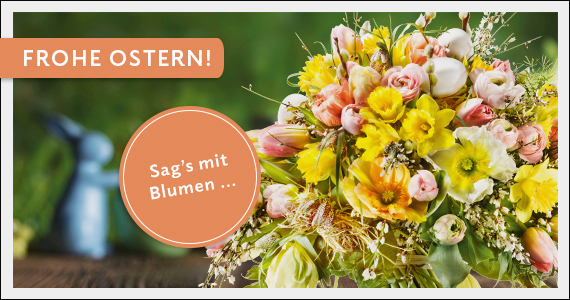 Zur Kollektion