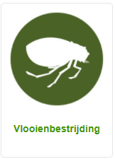 Vlooienbestrijding