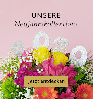 Jetzt Neujahrsgrüsse versenden!