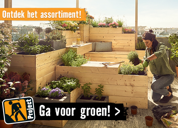 Ga voor groen! Assortiment planten | HORNBACH
