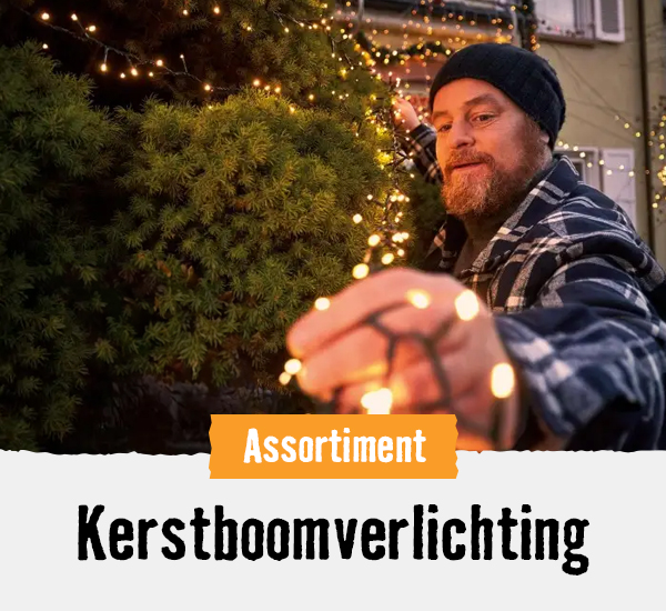 Kerstboomverlichting | HORNBACH