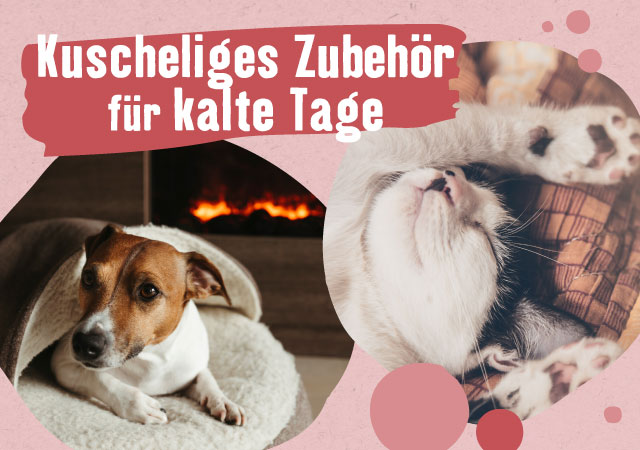 Kuscheliges Zubehör für kalte Tage