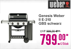 Genesis Weber II E-310 GBS schwarz