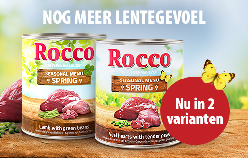 Nu 2 varianten van Rocco!