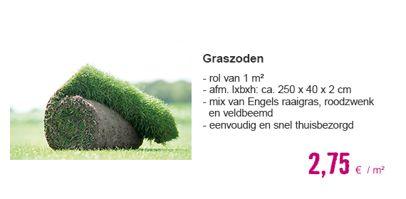 Graszoden gazon 250 x 40 cm. Bestellen per hele rol = 1 m² | HORNBACH