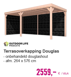 OUTDOOR LIFE Overkapping, Douglas, 1 zijwand rabat zwart, 270x582 cm | HORNBACH