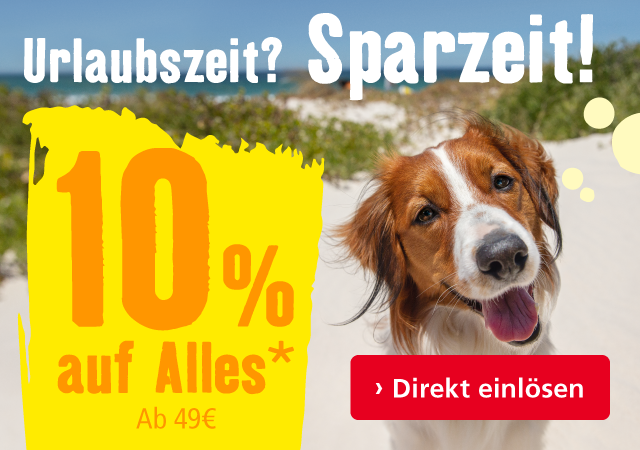 10% Rabatt auf alles!