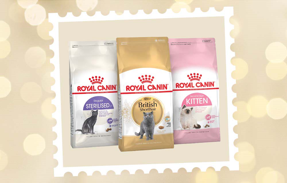 Royal Canin droogvoer
