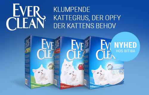 Ever Clean