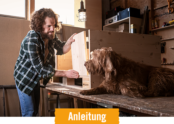 Anleitung Hundebett selber bauen