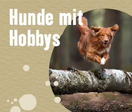 Hunde mit Hobbys