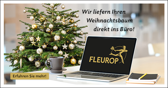 Weihnachsbaum