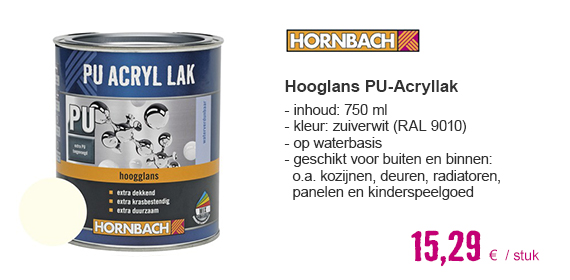 HORNBACH PU Acryl lak hoogglans wit ral 9010 750 ml | HORNBACH