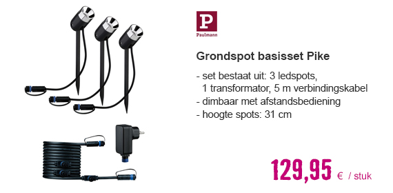 PAULMANN Plug & Shine grondspot Pike IP65 24V antraciet (basisset) | HORNBACH