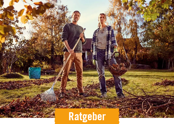 HORNBACH Ratgeber Herbst im Garten